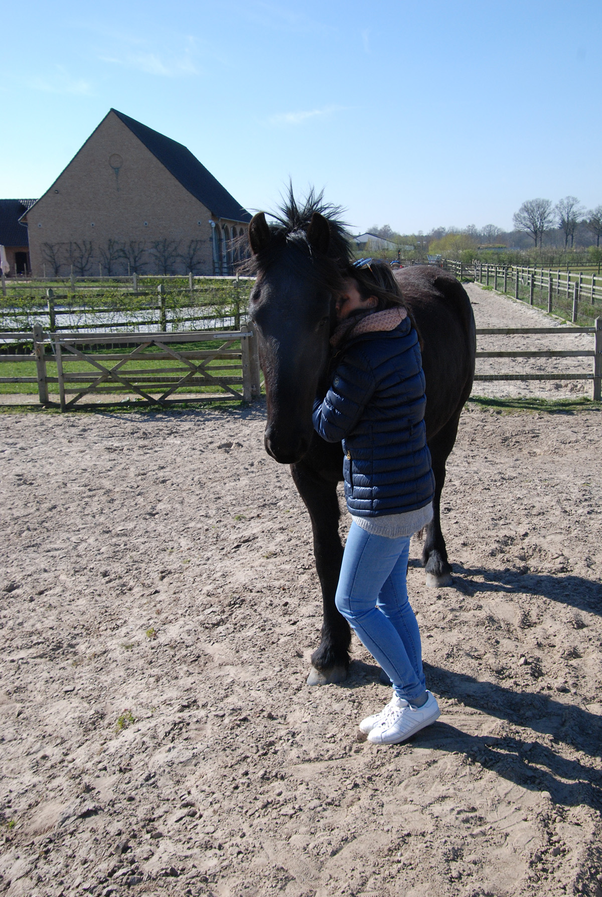 Je verdriet overleven samen met paarden